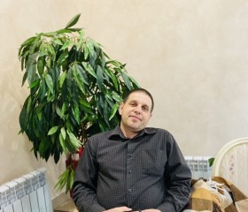 Анатолий, 42 года, Ульяновск