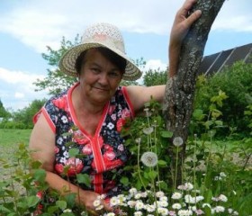 София, 64 года, Новосибирск