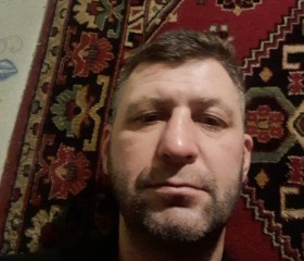 Сергей, 42 года, Кесова Гора