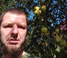 Владимир, 38 лет, Тимашёвск