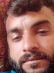 Mallik Ali, 28 лет, اسلام آباد