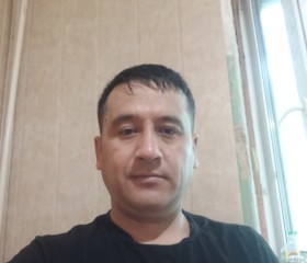 Ali, 40 лет, Серпухов