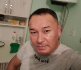 Серик, 46 лет, Шымкент