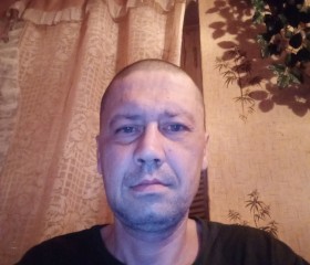 Александр, 48 лет, Губкин