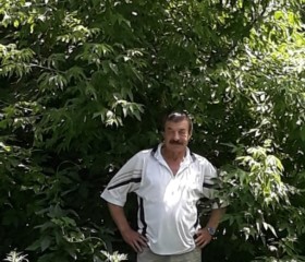 Валера, 67 лет, Шымкент