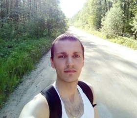 Артем, 29 лет, Кировск