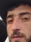 Zen, 28, Dar a