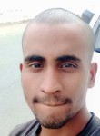Hasan, 25 лет, المدينة المنورة