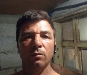 Datcu Liviu Gheo, 50, Bucharest
