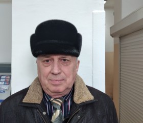 Игорь, 68 лет, Новоуральск