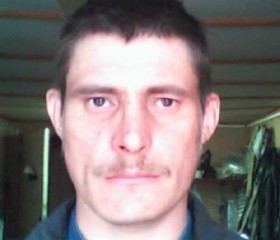 Владимир, 45 лет, Кулебаки