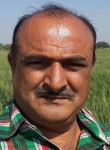 Yogesh, 53 года, Rajkot