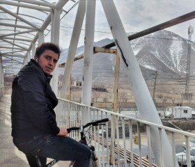 Shah, 20 лет, تِهران