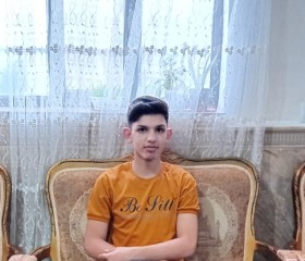 Edris Mohammadi, 19 лет, قَصَبِهِ كَرَج