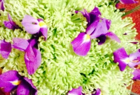 Anya, 46 - Miscellaneous