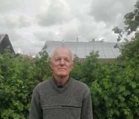 Viktor, 70, Yelabuga
