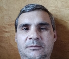 Vyacheslav, 43, Barnaul