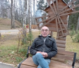 Сергей, 66 лет, Нижний Новгород