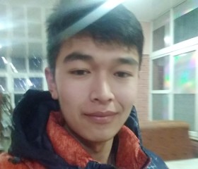 Камиль, 24 года, Бишкек