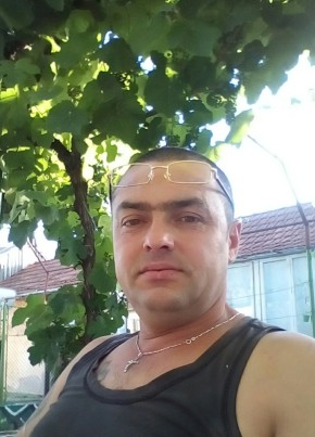 Florin, 43, Romania, Timisoara