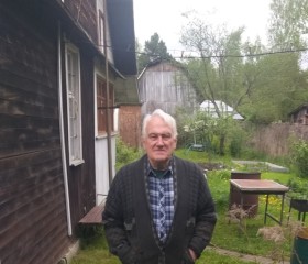 Petr, 75, Moscow