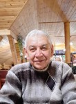 Николай, 69 лет, Челябинск