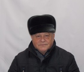 Виктор, 72 года, Барнаул