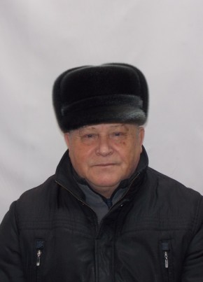 Viktor, 72, Russia, Barnaul