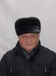 Viktor, 71, Barnaul