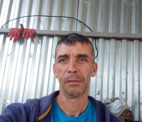 Сергей, 47 лет, Пластуновская