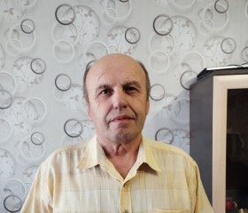 vladimir igoshin, 70 лет, Рубцовск