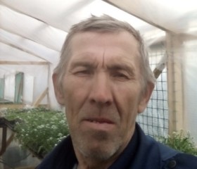 Николай, 63 года, Нижнекамск