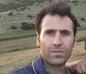 Hossein, 39 лет, اَردِبيل