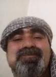 فواد, 48, Sanaa
