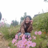 53d5a8c52156