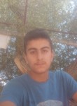 Mahmut Kul, 23 года, Ankara