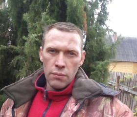 Дмитрий, 47 лет, Электрогорск
