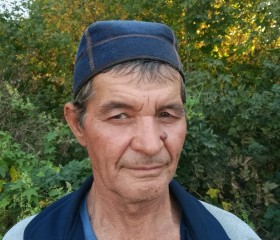 Zhamil, 62, Kazan