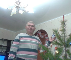 Сергей, 48 лет, Кошки