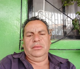 Carlos Inostroza, 56 лет, Santiago de Chile
