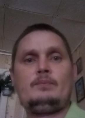 Ренат, 44, Россия, Чистополь