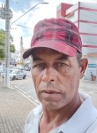 Reginaldo, 52 года, Laranjal Paulista