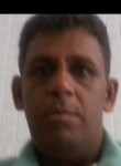 Santos, 47 лет, Livramento do Brumado