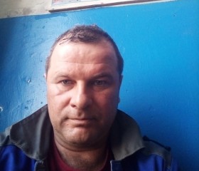 Алексей, 46 лет, Чаплыгин