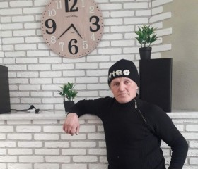 Николай Лобачев, 72 года, Барнаул