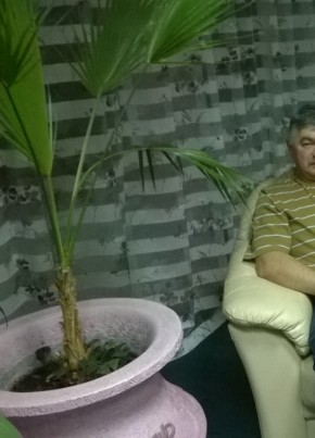 алексей ванеев, 64, Россия, Заринск