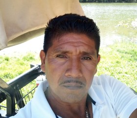Mario Avendaño G, 49 лет, Cuauhtémoc (Estado de Chihuahua)