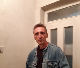 Aleksandar Spasi, 56 лет, Београд