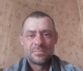 Владимир, 44 года, Павлодар
