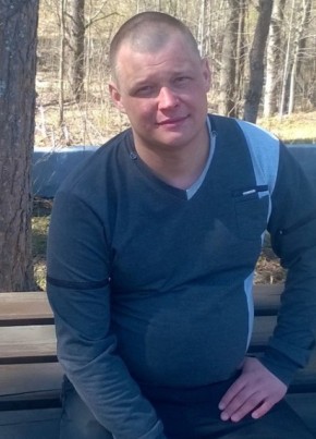 Дмитрий , 43, Россия, Бокситогорск